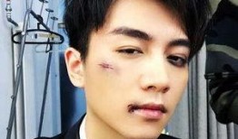 爆料娱乐圈陈晓是谁,娱乐圈爆料背后的明星真相